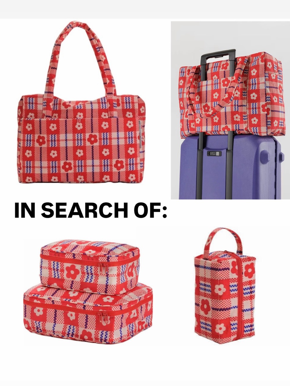 Sandy Liang x Baggu First Collection
